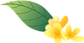 哲遠(yuǎn)科技 哲遠(yuǎn)科技