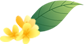 哲遠(yuǎn)科技 哲遠(yuǎn)科技